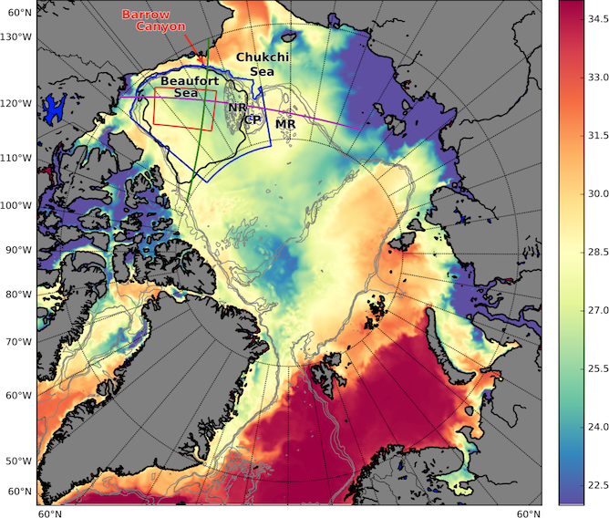 Map of modeled sea surface salinity