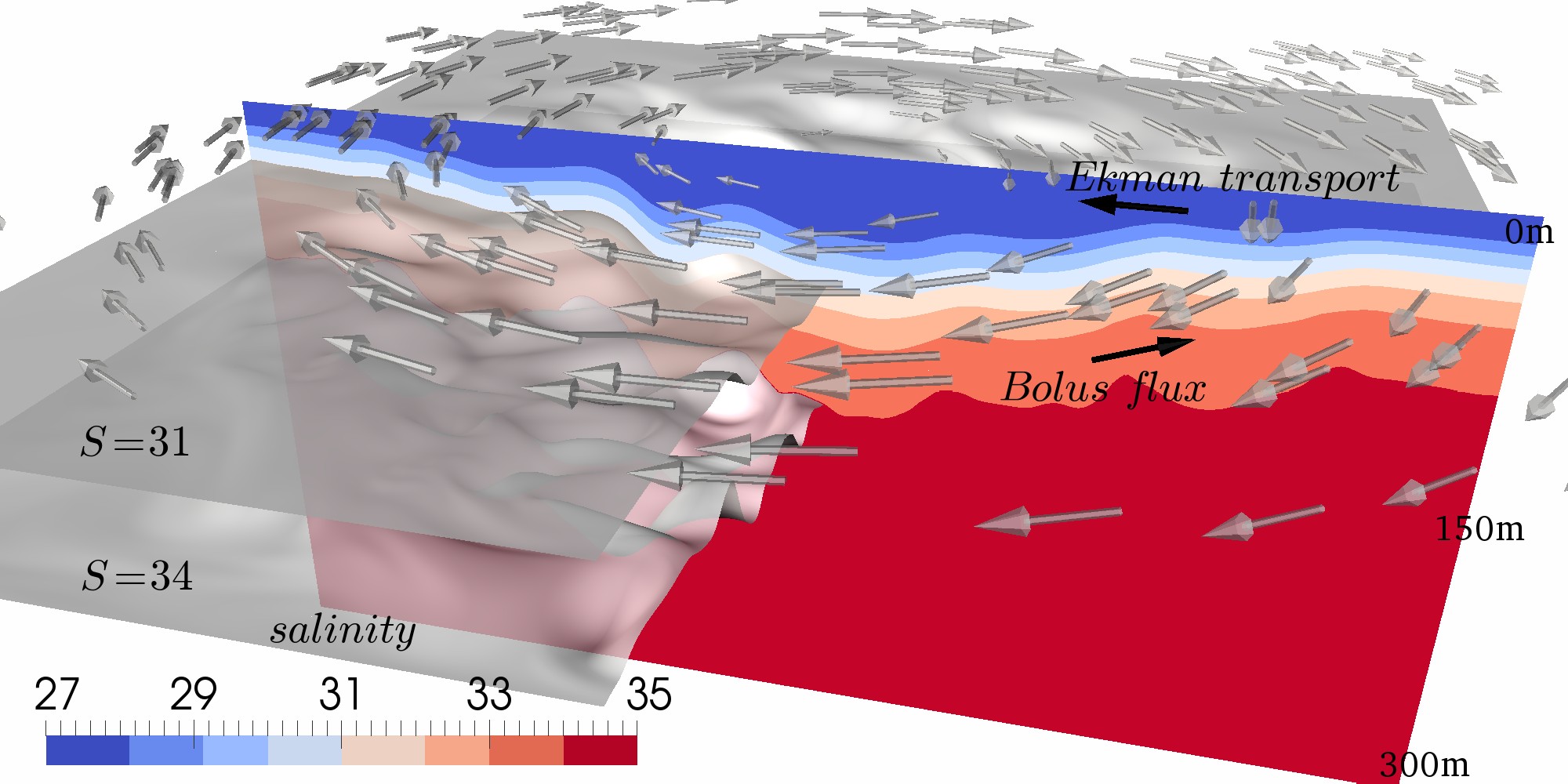 Idealized numerical model of the Beaufort Gyre