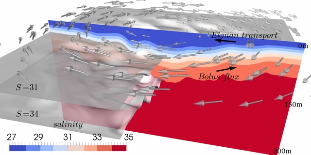 Idealized numerical model of the Beaufort Gyre