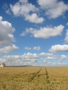 Fields and Clouds
near Anstruther