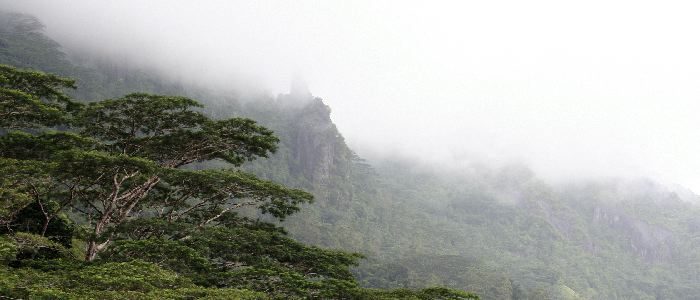paysage